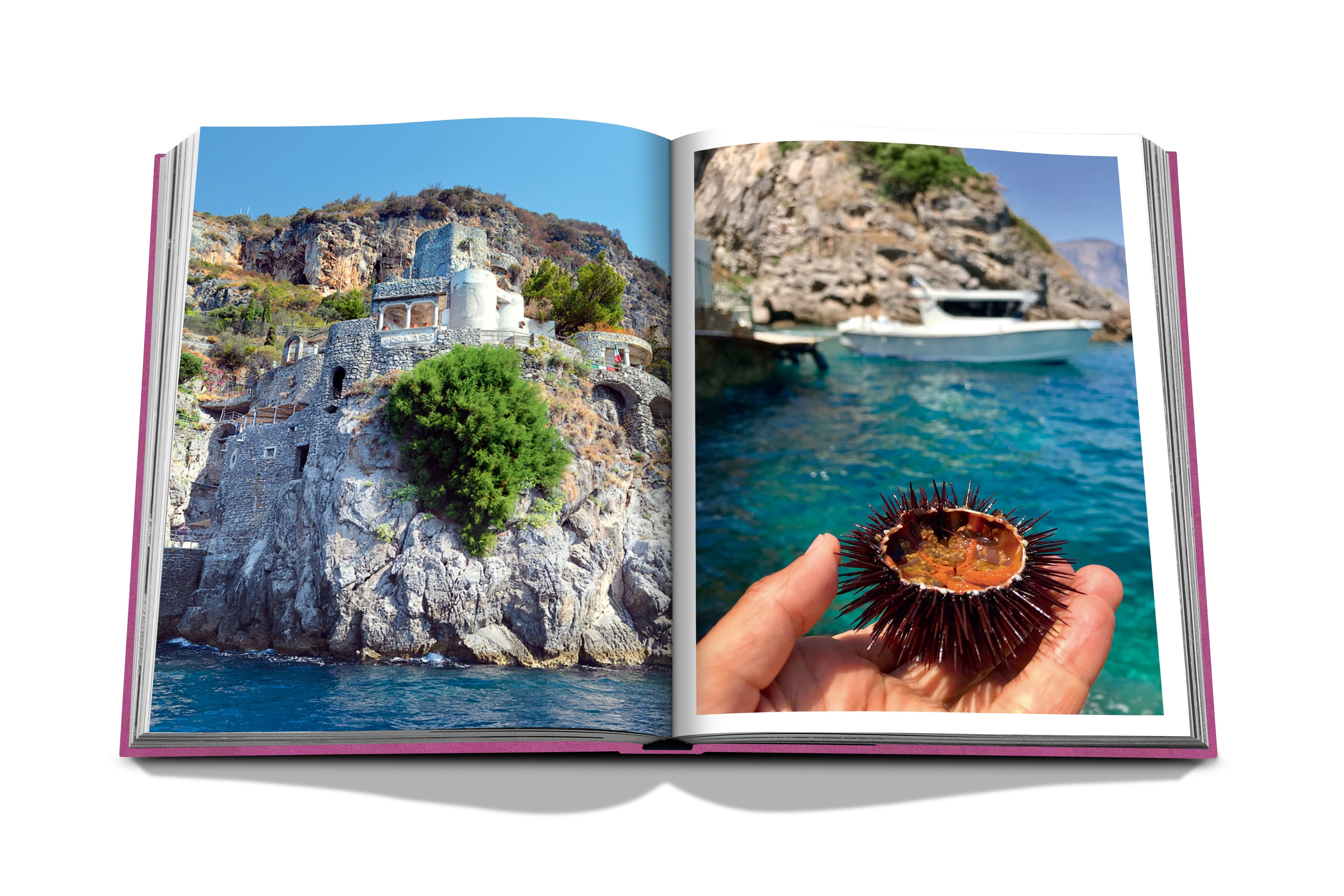 A book titled "Amalfi Coast" by Assouline lies open, with the left page presenting a picturesque view of Côte Amalfitaine, featuring a stone building perched on a cliffside. The right page captures an image of a hand holding a sea urchin against the backdrop of crystal-clear turquoise waters, reminiscent of coastal panoramic walks and enchanting pebble beaches.